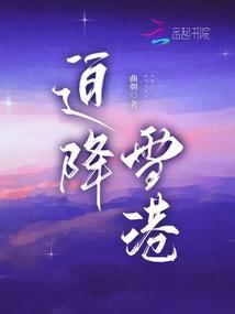 迫降雪港